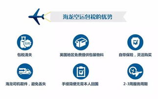 回國行李太多？高效省錢貨物代理服務指南